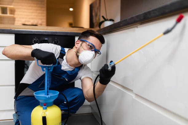 Best Bed Bug Extermination  in Bayou La Batre, AL