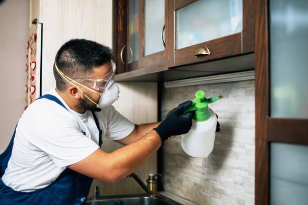 Best Exterminator Services  in Bayou La Batre, AL