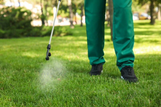 Best Mosquito Control Services  in Bayou La Batre, AL