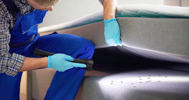 Best Residential Pest Control  in Bayou La Batre, AL