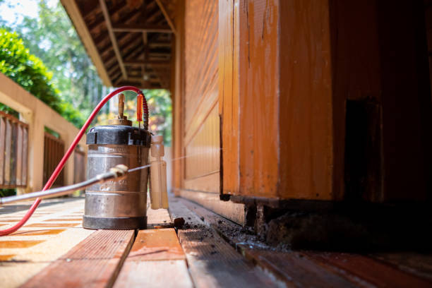 Best Local Pest Control Services  in Bayou La Batre, AL