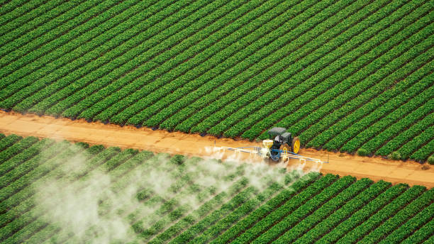 Insect Control in Bayou La Batre, AL