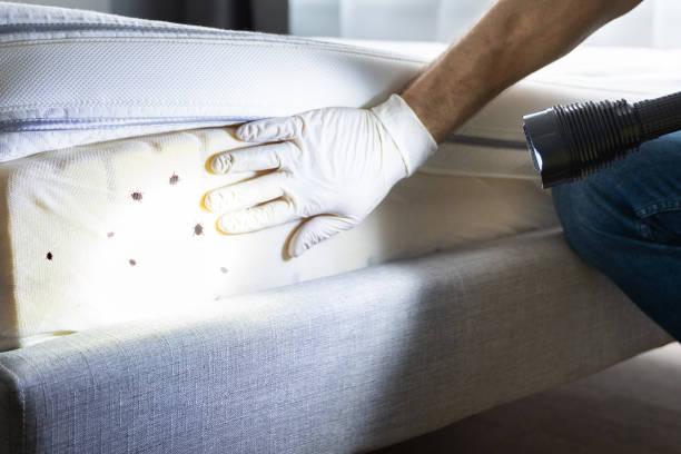 Best Best Pest Control Companies  in Bayou La Batre, AL