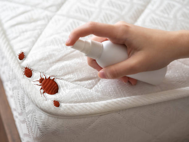 Best Commercial Pest Control Services  in Bayou La Batre, AL